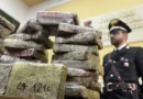 Napoli, sequestro record di oltre 80 kg di cocaina. Due in manette